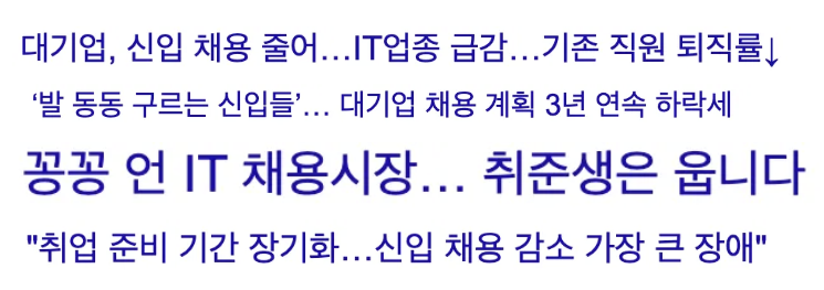 개발자 취업 준비