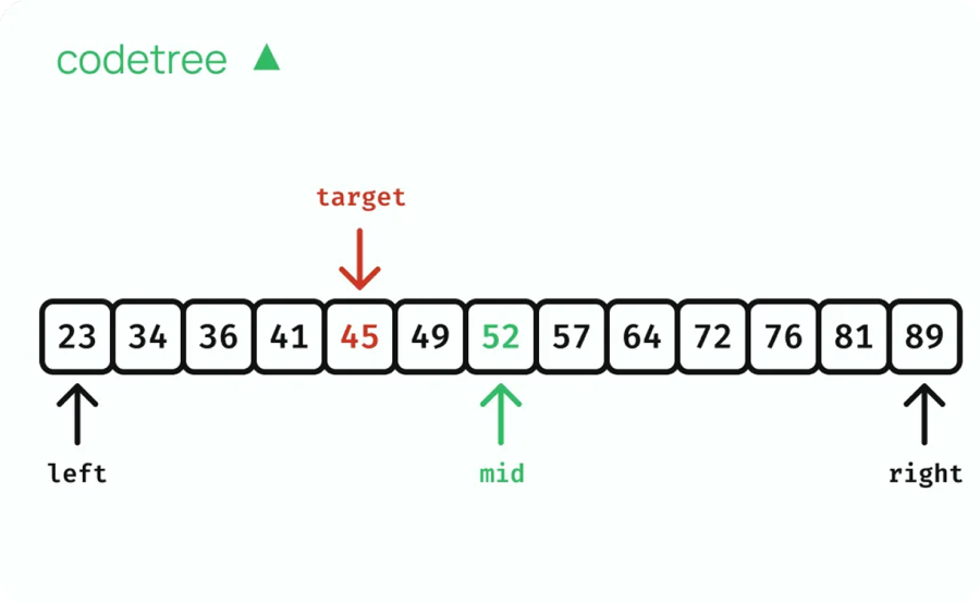 Group 38542 binary search